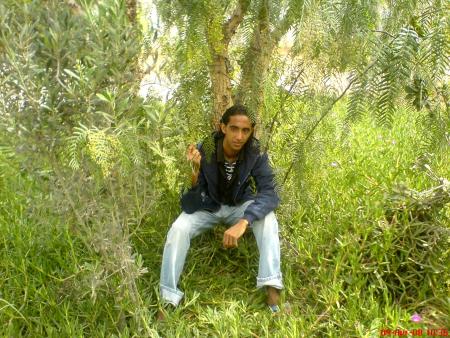lcyee